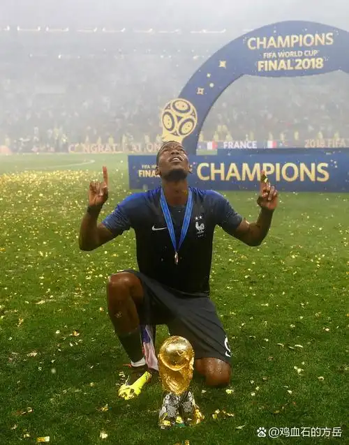 普尔的排名 普尔的排名